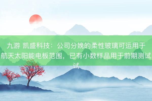 九游 凯盛科技：公司分娩的柔性玻璃可运用于航天太阳能电板范围，已有小数样品用于前期测试