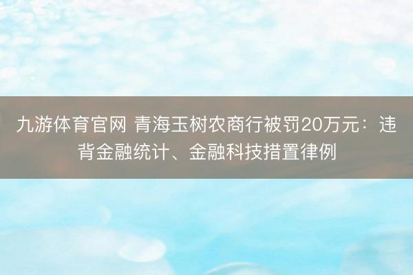九游体育官网 青海玉树农商行被罚20万元:违背金融统计、金融科技措置律例