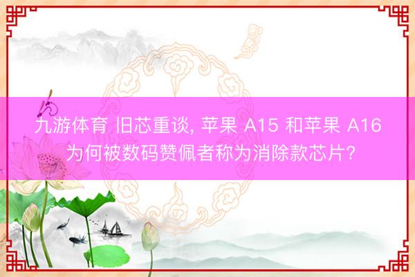 九游体育 旧芯重谈， 苹果 A15 和苹果 A16 为何被数码赞佩者称为消除款芯片?