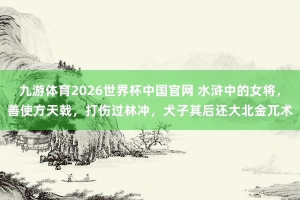 九游体育2026世界杯中国官网 水浒中的女将,善使方天戟,打伤过林冲,犬子其后还大北金兀术