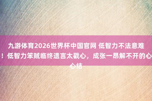 九游体育2026世界杯中国官网 低智力不法意难平!低智力笨贼临终遗言太戳心,成张一昂解不开的心结