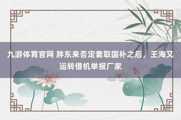 九游体育官网 胖东来否定套取国补之后,王海又运转借机举报厂家