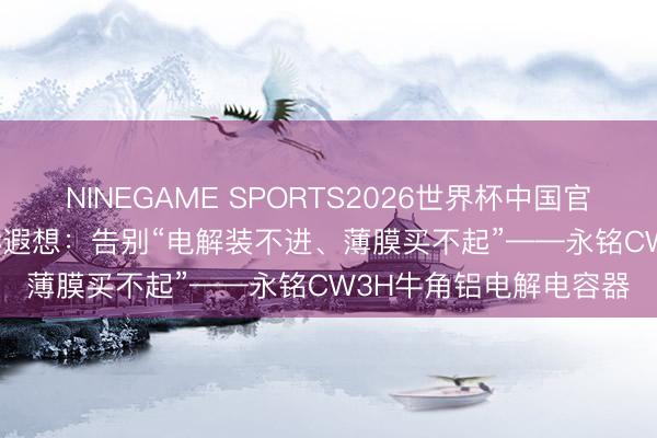 NINEGAME SPORTS2026世界杯中国官方网站 800V平台OBC遐想:告别“电解装不进、薄膜买不起”——永铭CW3H牛角铝电解电容器