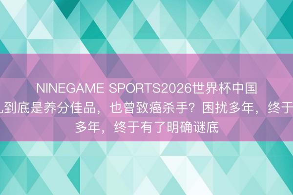 NINEGAME SPORTS2026世界杯中国官方网站 腐乳到底是养分佳品,也曾致癌杀手?困扰多年,终于有了明确谜底