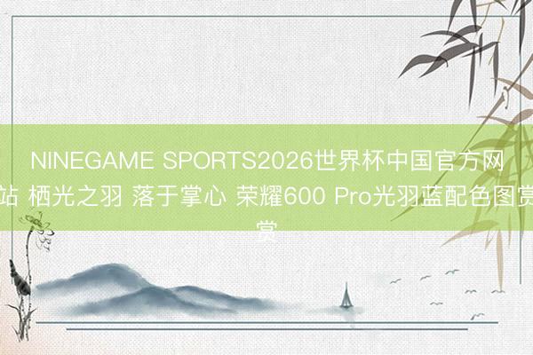 NINEGAME SPORTS2026世界杯中国官方网站 栖光之羽 落于掌心 荣耀600 Pro光羽蓝配色图赏