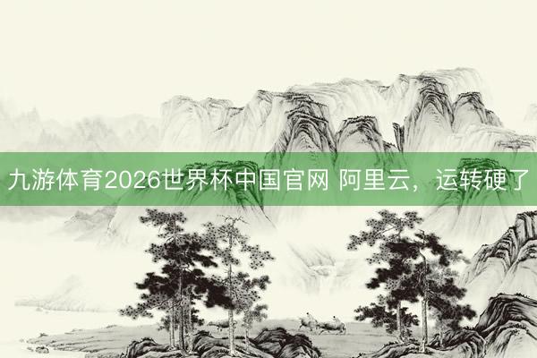 九游体育2026世界杯中国官网 阿里云,运转硬了