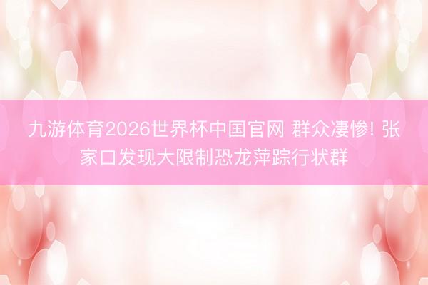 九游体育2026世界杯中国官网 群众凄惨! 张家口发现大限制恐龙萍踪行状群
