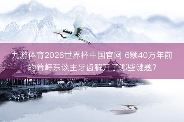九游体育2026世界杯中国官网 6颗40万年前的耸峙东谈主牙齿解开了哪些谜题?