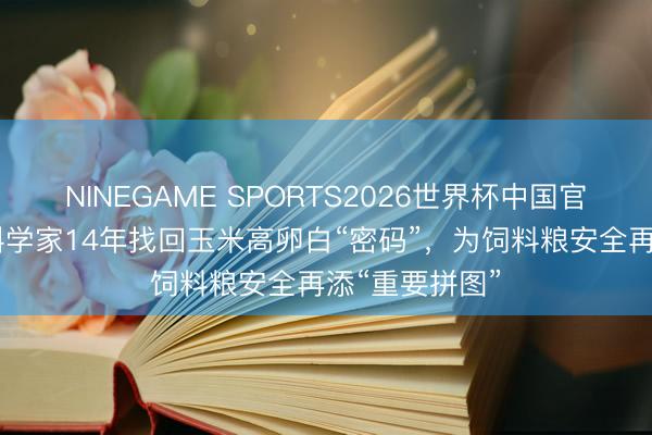 NINEGAME SPORTS2026世界杯中国官方网站 上海科学家14年找回玉米高卵白“密码”,为饲料粮安全再添“重要拼图”