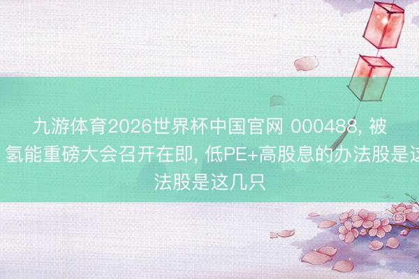 九游体育2026世界杯中国官网 000488, 被警示! 氢能重磅大会召开在即, 低PE+高股息的办法股是这几只