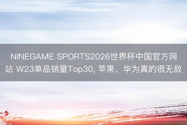 NINEGAME SPORTS2026世界杯中国官方网站 W23单品销量Top30, 苹果、华为真的很无敌
