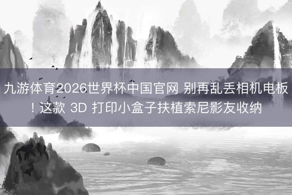 九游体育2026世界杯中国官网 别再乱丢相机电板! 这款 3D 打印小盒子扶植索尼影友收纳
