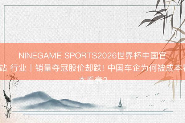 NINEGAME SPORTS2026世界杯中国官方网站 行业丨销量夺冠股价却跌! 中国车企为何被成本看衰?