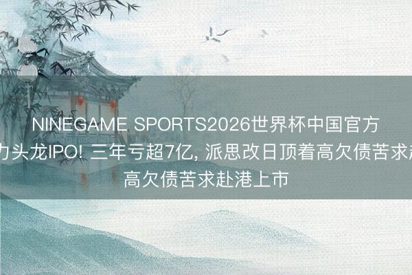 NINEGAME SPORTS2026世界杯中国官方网站 算力头龙IPO! 三年亏超7亿, 派思改日顶着高欠债苦求赴港上市