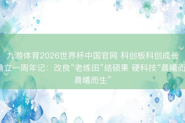 九游体育2026世界杯中国官网 科创板科创成长层确立一周年记：改良“老练田”结硕果 硬科技“晨曦而生”