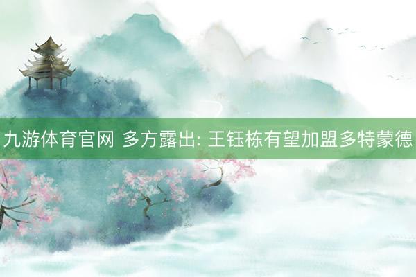 九游体育官网 多方露出: 王钰栋有望加盟多特蒙德